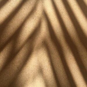 Shadow of palm fronds cast by strong sunlight on a warm sand-coloured surface