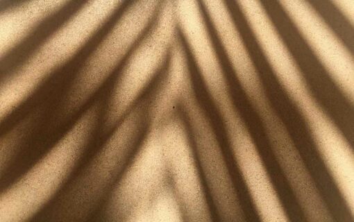 Shadow of palm fronds cast by strong sunlight on a warm sand-coloured surface